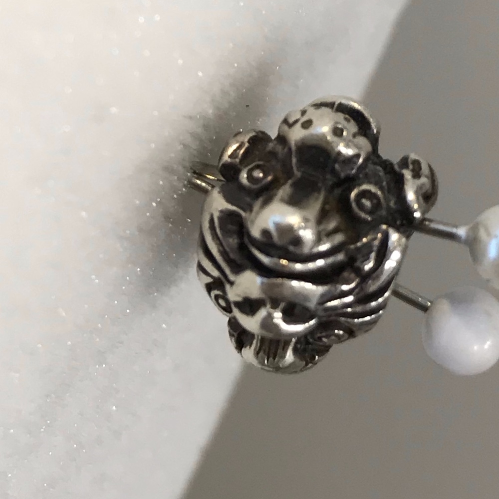 Trollbeads "Find Your Pet' Charm- Retired!